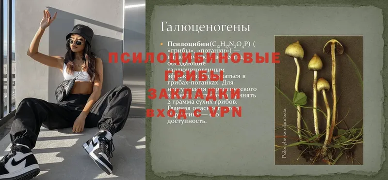 Галлюциногенные грибы GOLDEN TEACHER  hydra зеркало  Козельск 